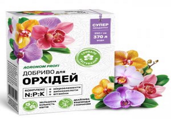 відновлення орхідеї