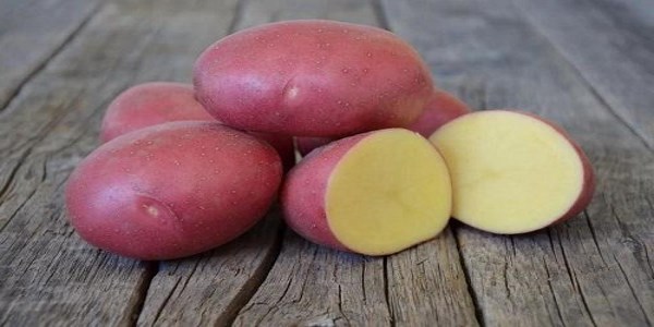 сорта ккартошки в уккраине
